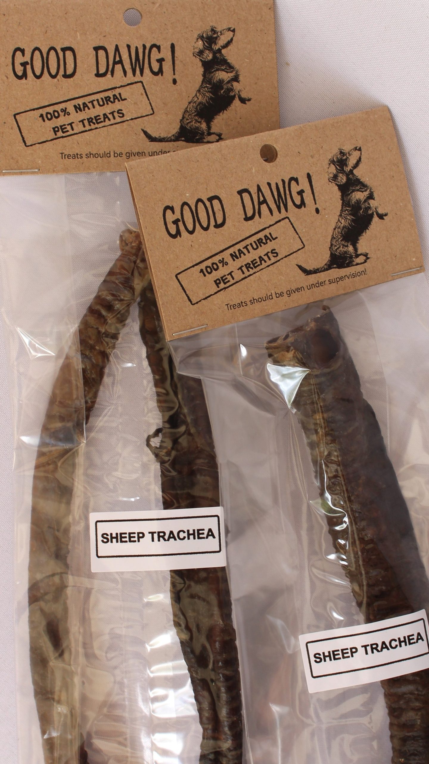 Sheep Trachea - Image 2