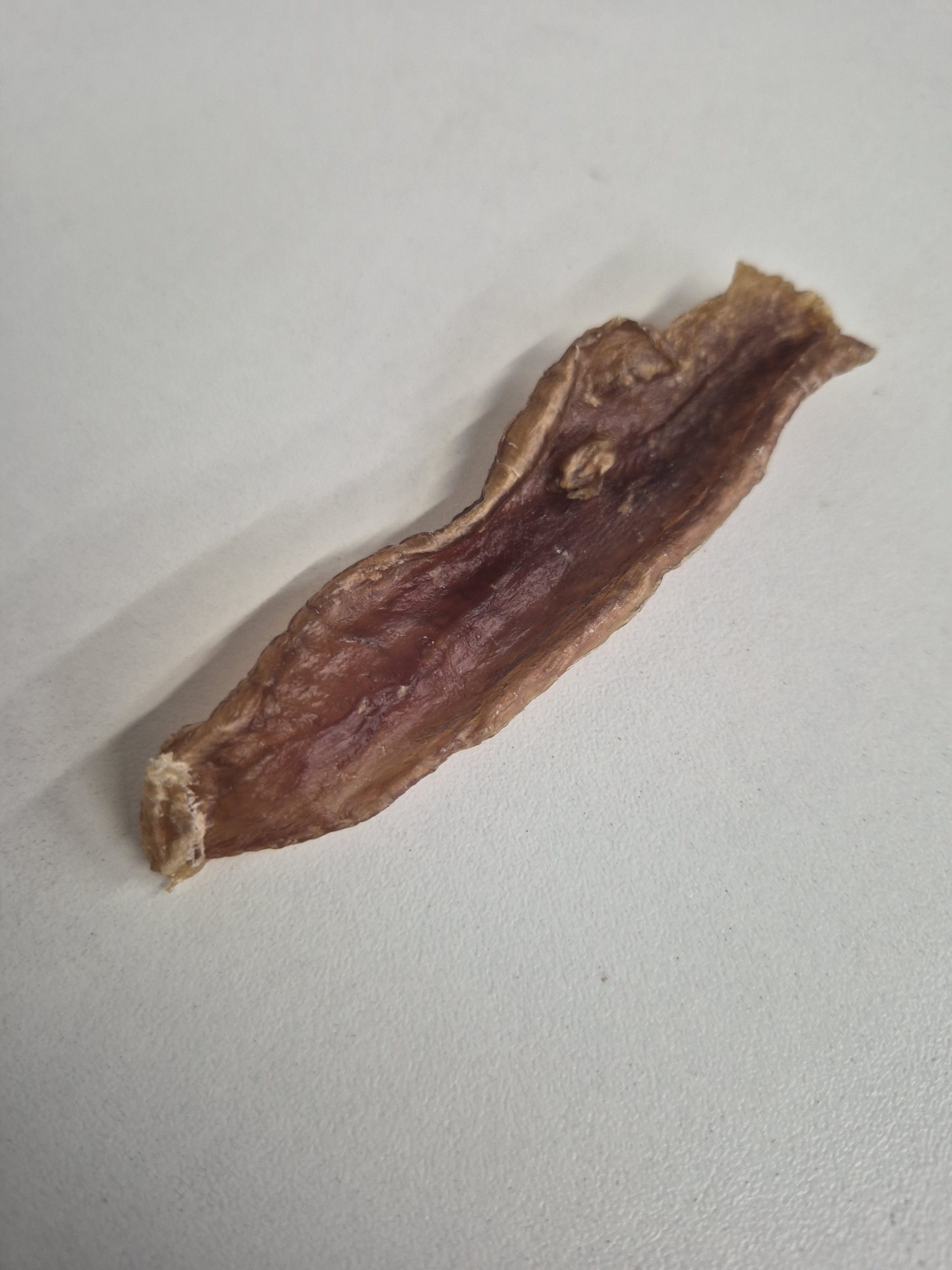 Ostrich gizzard chews for dogs - 100% natural single protein treat
